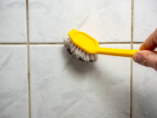 Best Home Mold Removal  in Sparkill, NY